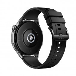 Смарт-часы HUAWEI Watch GT4 PNX-B19 (55020BGT) Black